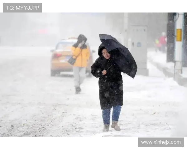 降雪大风致女子U型决赛延期 降雪大风致女子U型决赛延期